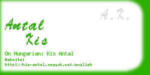 antal kis business card